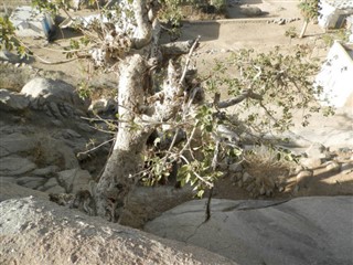Eritre hava tahmini