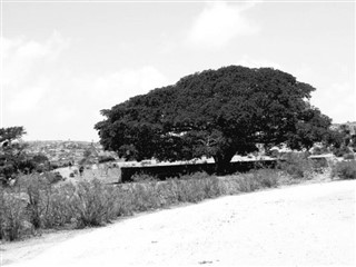 Eritre hava tahmini