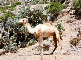Eritre hava tahmini