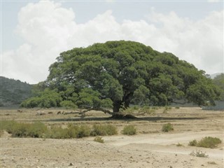 Eritrea időjárás-jelentés