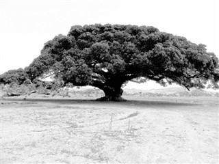 Eritrea vejrudsigt