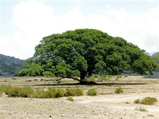 Eritrea időjárás-jelentés