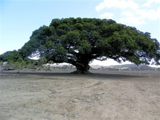Eritre hava tahmini