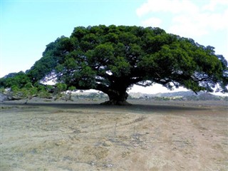Eritrea időjárás-jelentés