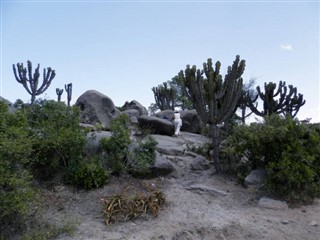 Eritrea vejrudsigt