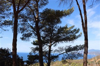 Eritrea időjárás-jelentés