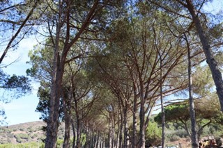 Eritre hava tahmini