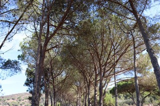 Eritre hava tahmini