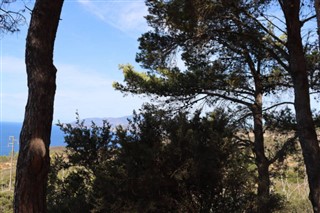 Eritrea időjárás-jelentés