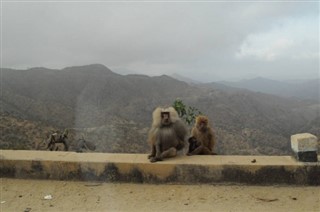 Eritre hava tahmini