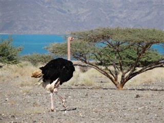 Eritrea időjárás-jelentés
