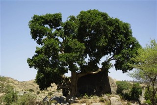Eritre hava tahmini
