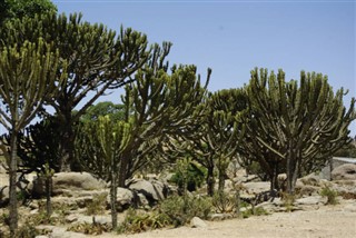 Eritre hava tahmini