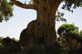 Eritrea vejrudsigt