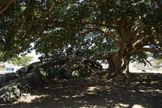 Eritre hava tahmini