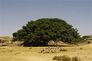 Eritrea időjárás-jelentés