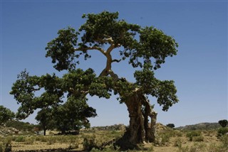 Eritre hava tahmini