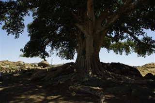 Eritrea időjárás-jelentés