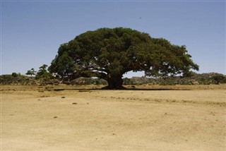 Eritrea időjárás-jelentés