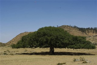 Eritrea időjárás-jelentés