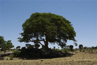 Eritre hava tahmini