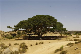 Eritre hava tahmini