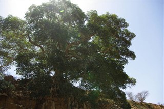 Eritre hava tahmini