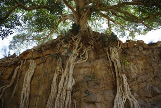 Eritrea vejrudsigt