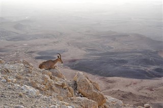 Eritrea Időjárás-jelentés