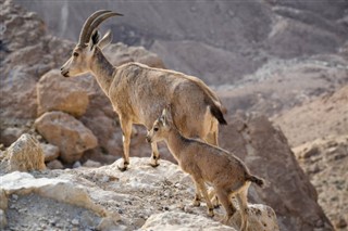Eritre hava tahmini
