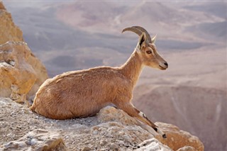 Eritrea időjárás-jelentés