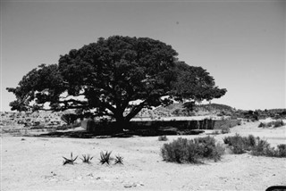 Eritrea vejrudsigt