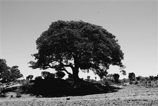 Eritrea vejrudsigt