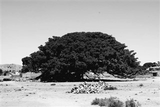 Eritre hava tahmini