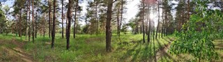 Estland vejrudsigt