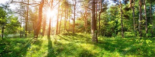 Estonia pronóstico del tiempo