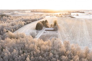 Estland vejrudsigt