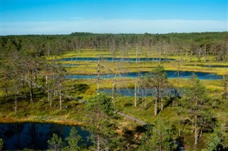 Estonia weather forecast