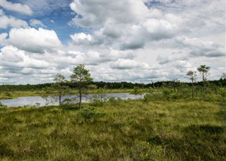 Estland vejrudsigt