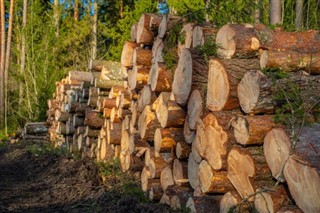 Estonija Vremenska prognoza