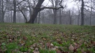 Észtország időjárás-jelentés