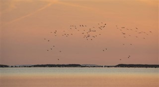 Estland vejrudsigt