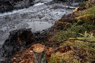 Estland vejrudsigt