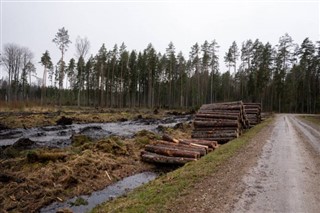 Estonia weather forecast