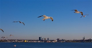 Estland vejrudsigt