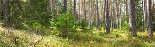 Estland vejrudsigt