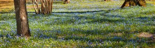 Estonia weather forecast