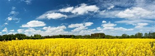 Estland vejrudsigt