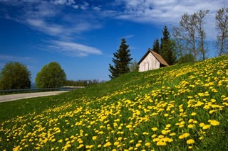 Estonia previsioni del tempo