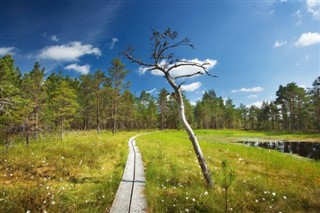Estland vejrudsigt